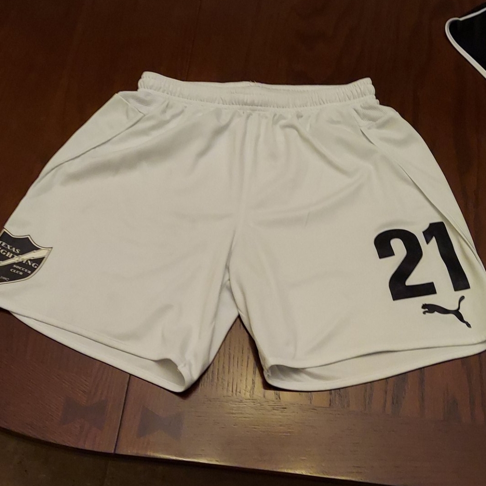Puma DRY Shorts